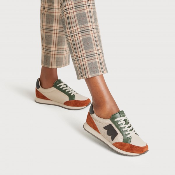 The Roadrunner - Ivy Multi Mesh